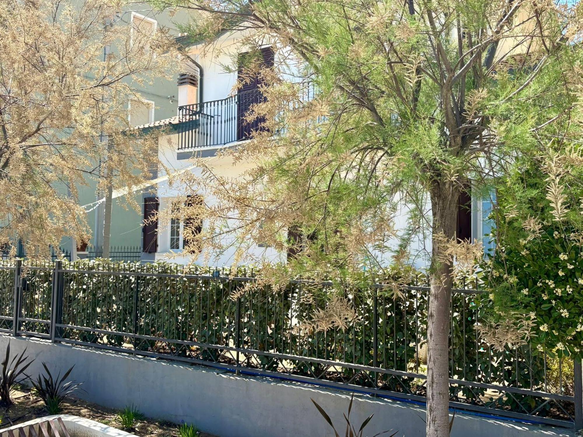 Villa Dolcevita Bellaria-Igea Marina Exteriör bild